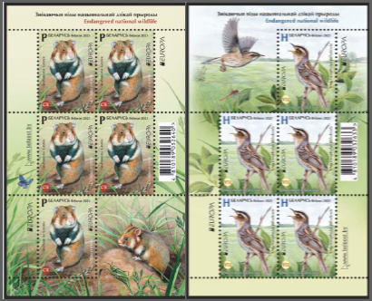 Belorussia Belarus Weissrussland 2021 Europa CEPT Rare fauna Rodent Bird set of 2 sheetlets MNH