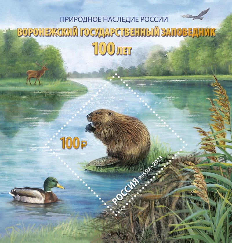 Russia Russland Russie 2023 Voronezh nature reserve Beaver Duck landscape block MNH - Image 1