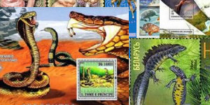 Amphibians and Reptiles