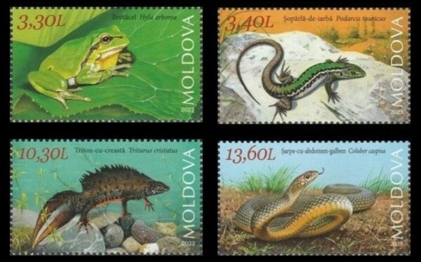 Moldova Moldavia Moldavien 2023 Fauna Red Book Reptiles and Amphibians Frog Lizard Triton Snake set of 4 stamps MNH **