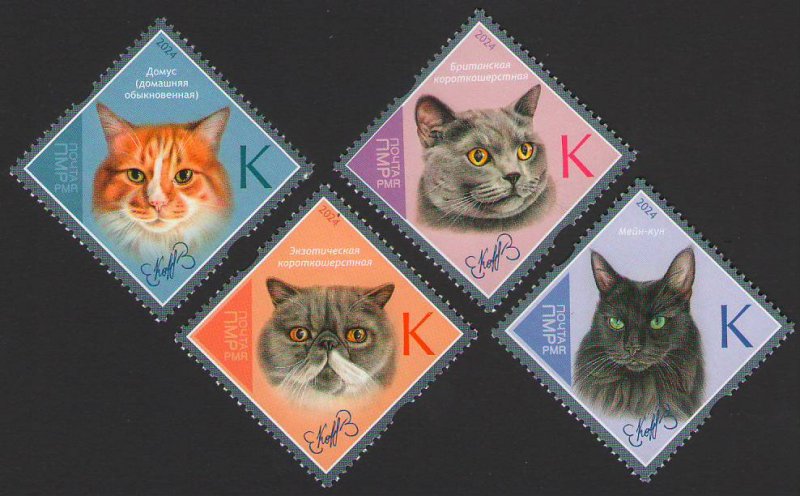 Russian occupation of Moldova (Transnistria) 2024 Cats domestic breeds set of 4 perforated stamps MNH - Image 1