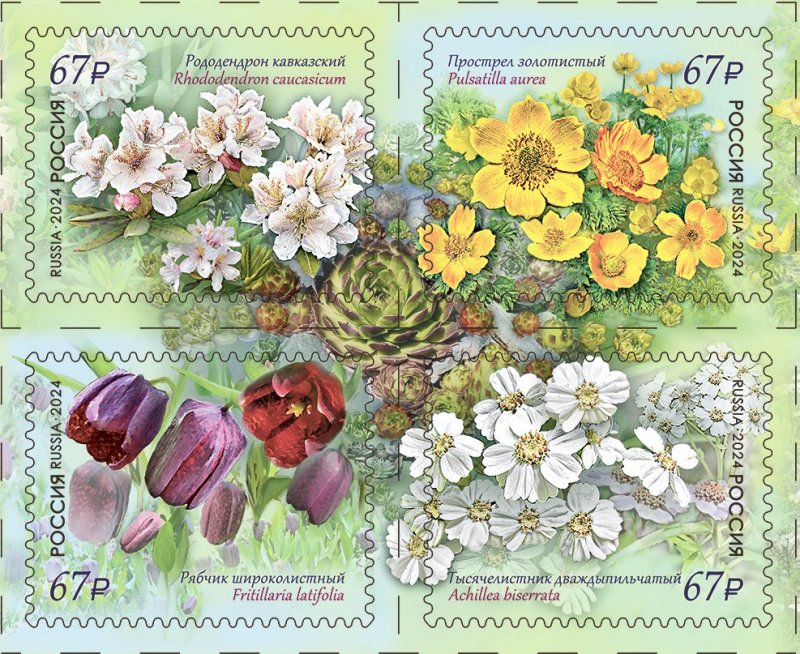 Russia Russland Russie 2024 Flowers of the Caucasus set of 4 stamps in block 2x2 MNH - Image 1