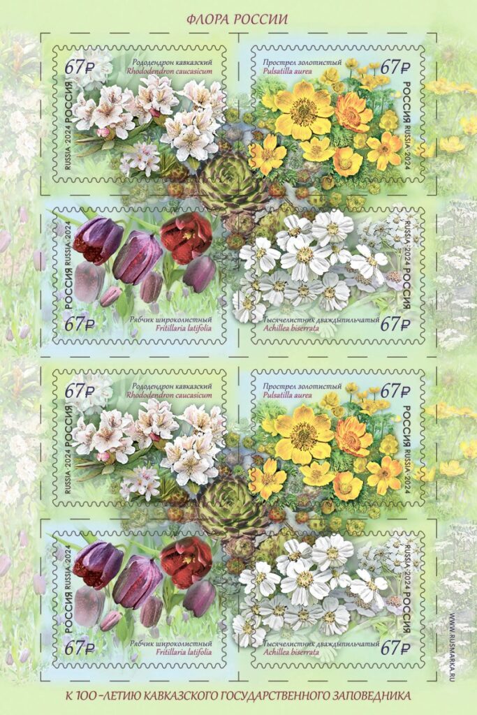 Russia Russland Russie 2024 Flowers of the Caucasus sheetlet MNH