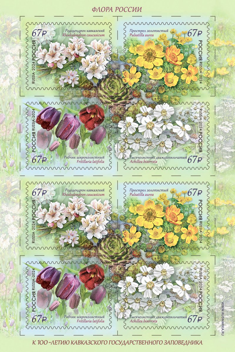 Russia Russland Russie 2024 Flowers of the Caucasus sheetlet MNH - Image 1