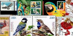 Birds