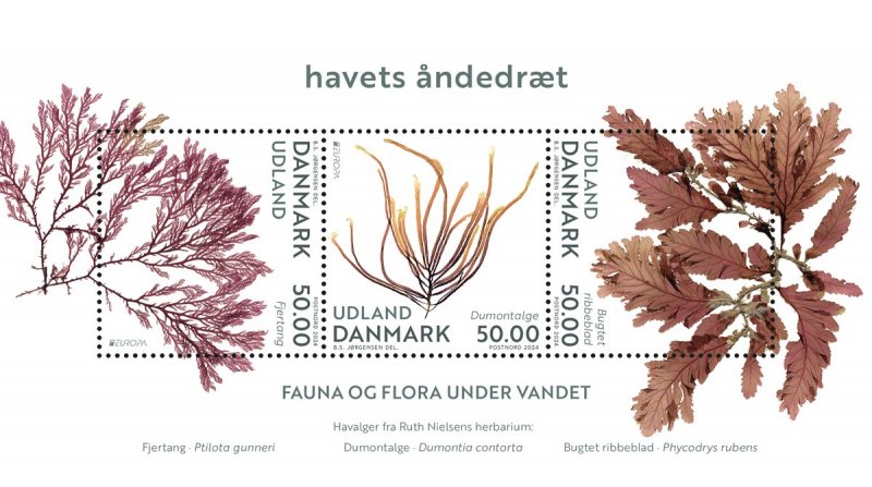 Denmark Danemark Danmark 2024 Europa CEPT Undewater flora and fauna set of 3 stamps in block MNH - Image 1