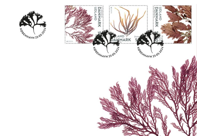 Denmark Danemark Danmark 2024 Europa CEPT Undewater flora and fauna set of 3 stamps FDC - Image 1