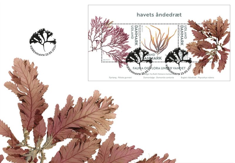 Denmark Danemark Danmark 2024 Europa CEPT Undewater flora and fauna block FDC - Image 1
