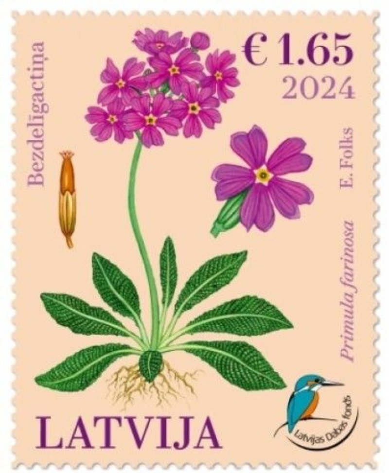 Latvia Lettland Lettonie 2024 Nature Fund Bird’s-eye Primrose flower stamp MNH - Image 1
