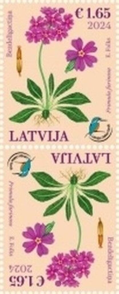 Latvia Lettland Lettonie 2024 Nature Fund Bird’s-eye Primrose flower tete-beshe MNH