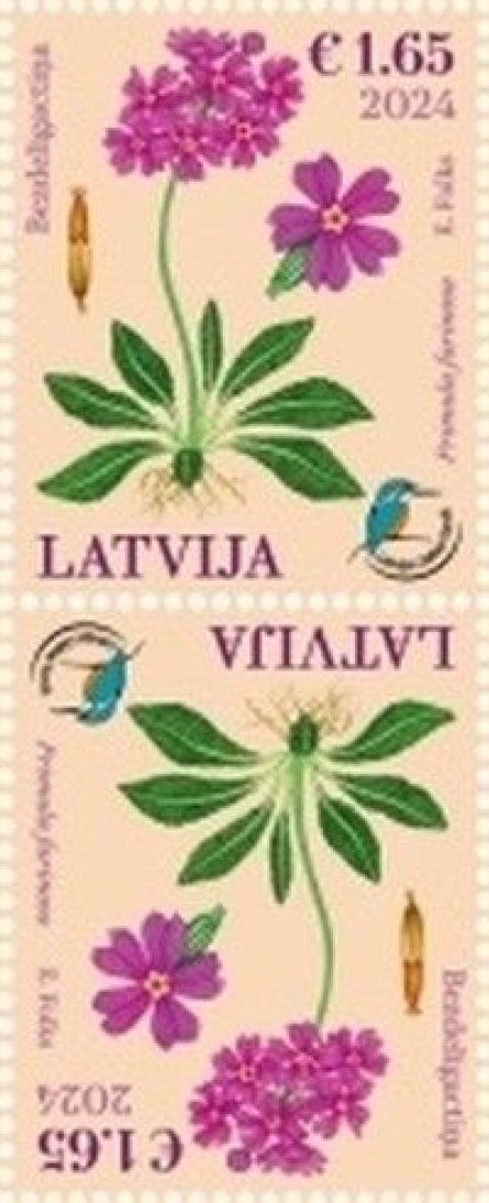Latvia Lettland Lettonie 2024 Nature Fund Bird’s-eye Primrose flower tete-beshe MNH