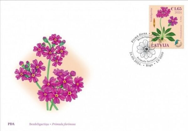 Latvia Lettland Lettonie 2024 Nature Fund Bird’s-eye Primrose flower FDC