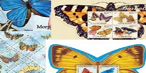 Butterflies