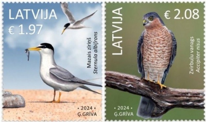 Latvia Lettland Lettonie 2024 Birds set of 2 stamps MNH - Image 1