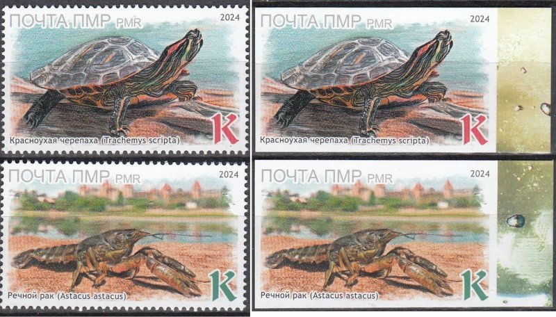 Russian occupation of Moldova ( Transnistria ) 2024 Europa CEPT Underwater fauna set of 2 perforated and imperforated stamps MNH - Image 1