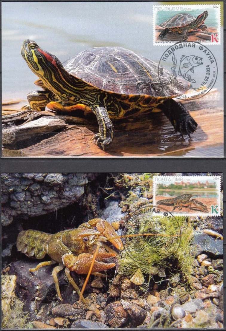 Russian occupation of Moldova ( Transnistria ) 2024 Europa CEPT Underwater fauna Set of 2 maxicards - Image 1