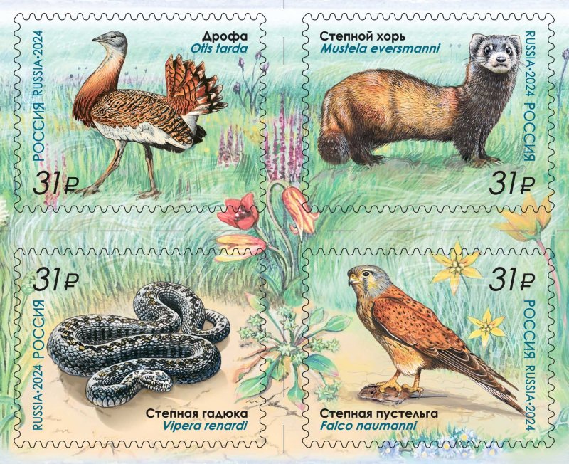 Russia Russland Russie 2024 Ukrainian reserve 'Askania-Nova' rare fauna birds mammals reptilies set of 4 stamps in block 2x2 MNH - Image 1