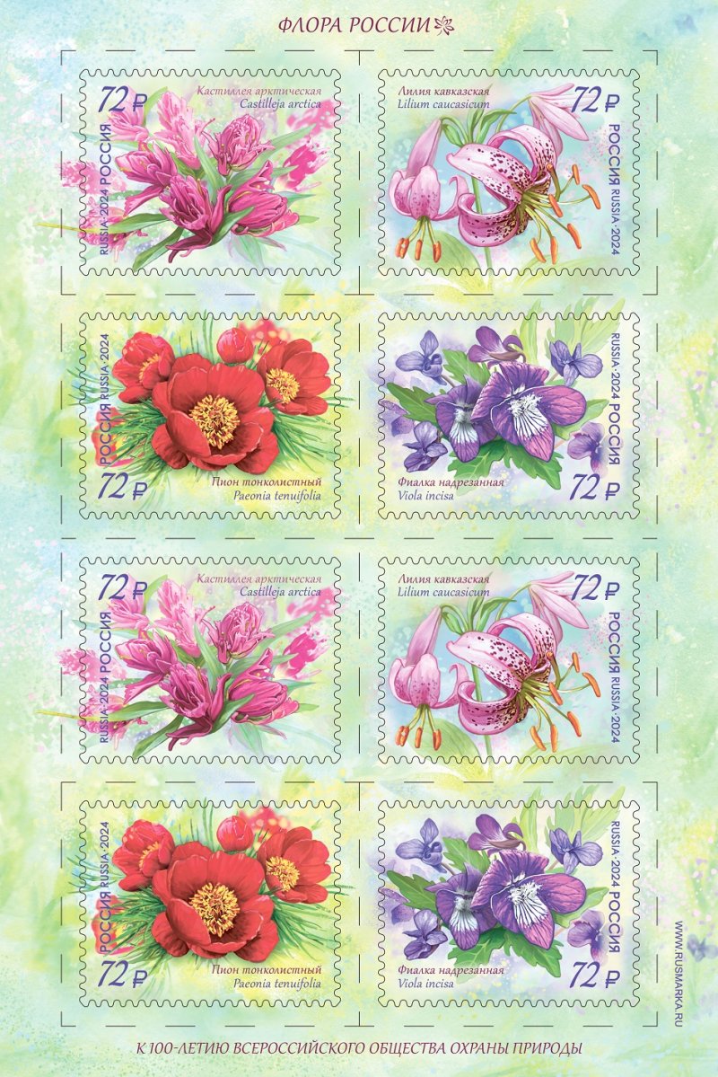 Russia Russland Russie 2024 Rare flowers Sheetlet MNH - Image 1