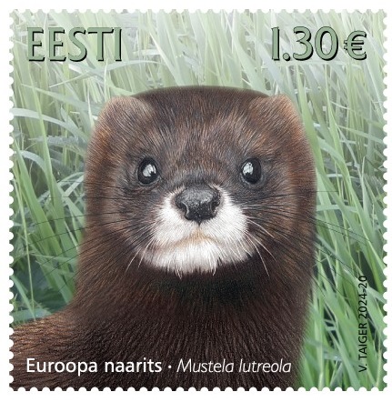 Estonia Estland Estonie 2024 Fauna European mink Omniva stamp MNH