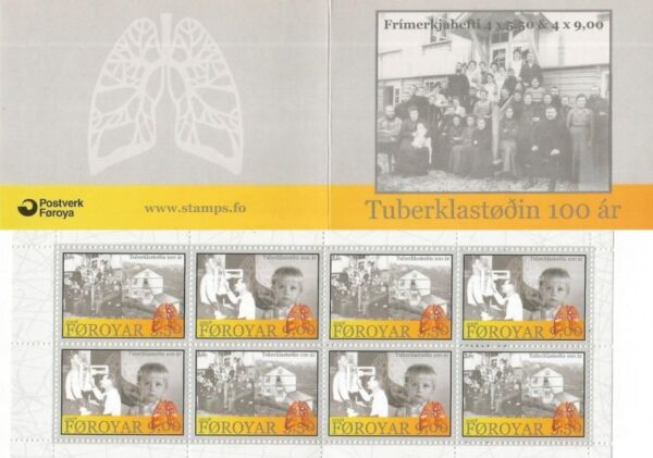 Faroe Islands Denmark 2008 100th Anniversary of the Tuberculosis Sanatorium Special minisheet in booklet MNH
