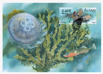 Aland Finland 2025 Baltic nature Sea fauna and flora Maxicard