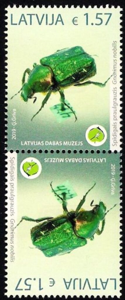 Latvia 2019 Nature museum Bug Beetle tet-beshe MNH