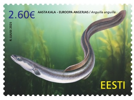 Estonia 2025 Fauna Nature Fish of the Year European Eel Stamp MNH