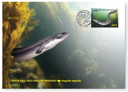 Estonia 2025 Fauna Nature Fish of the Year European Eel Stamp FDC