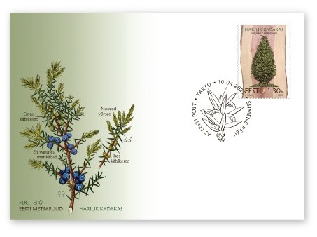 Estonia 2025 Flora Trees The common juniper FDC