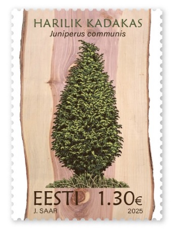 Estonia 2025 Flora Trees The common juniper Stamp MNH