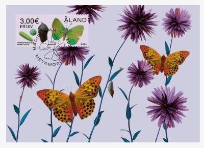 Aland islands Åland Finland 2024 Butterflies Metamorphosis Maxicard