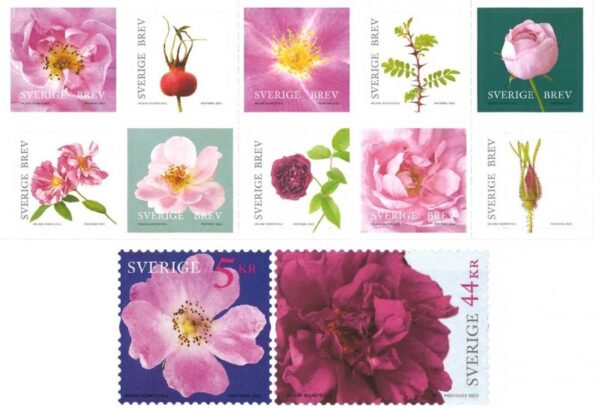 Sweden 2025 National Roses Full set of 12 stamps (2 stamps and booklet) MNH