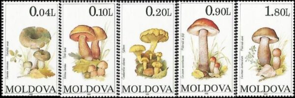 Moldova Moldavia 1995 Mushrooms Set of 5 stamps MNH