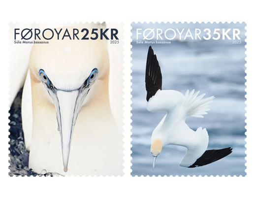 Faroe Islands Denmark 2025 Birds Northern Gannet Set of 2 stamps MNH