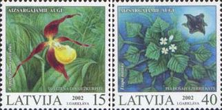 Latvia 2002 Nature Rare forest flowers Orchids Set of 2 stamps MNH
