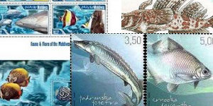 Fishes