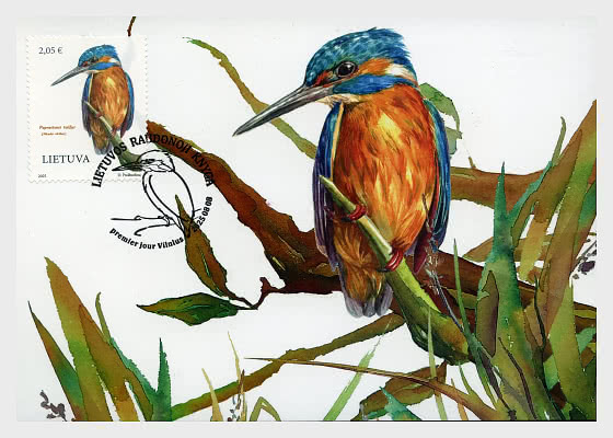 Lithuania 2025 Rare birds Kingfisher Alcedo atthis Maxicard