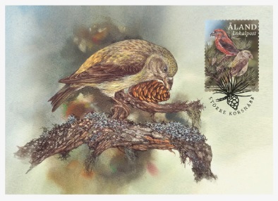Aland Islands Åland Finland 2023 Parrot Crossbill bird Maxicard