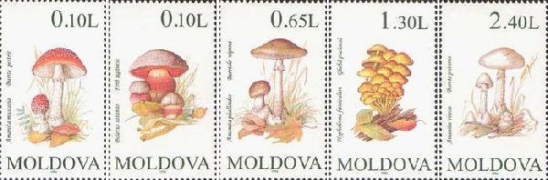 Moldova Moldavia 1996 Mushrooms Set of 5 stamps MNH