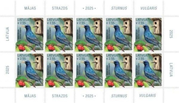 Latvia 2025 Bird common starling Sheetlet MNH