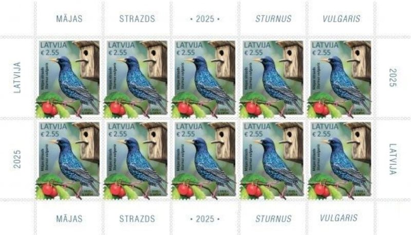 Latvia 2025 Bird common starling Sheetlet MNH - Image 1