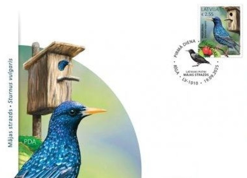 Latvia 2025 Bird common starling FDC - Image 1