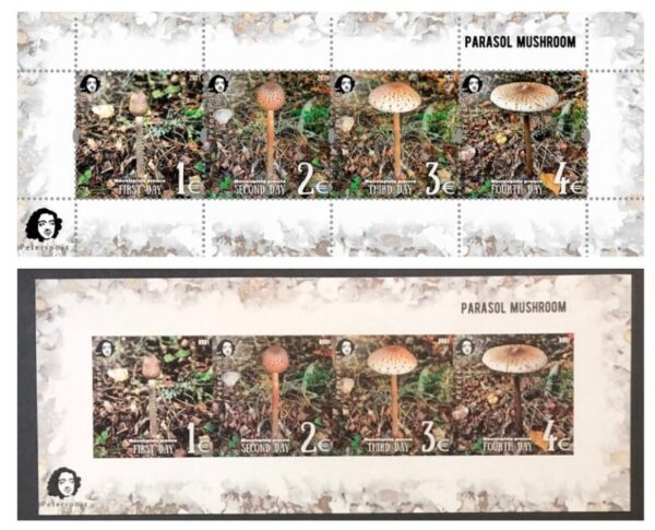 Finland 2021 Parasol mushroom a delicacy of gastronomy Peterspost imperforated limited edition and perforated block's set MNH
