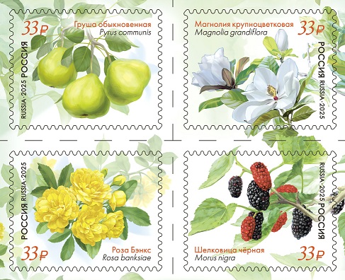 Russia 2025 Crimean flora Rose Fruits Flowers Set of 4 stamps in block 2x2 MNH