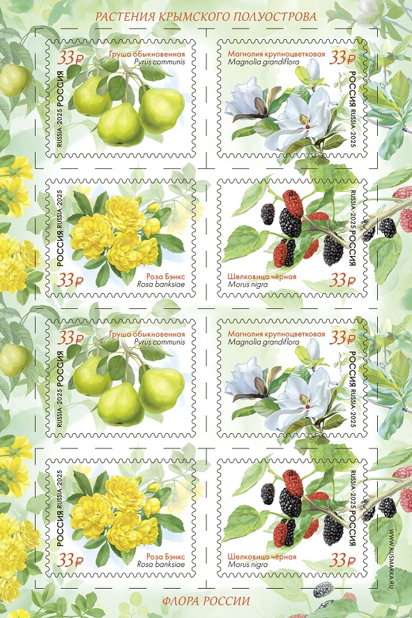 Russia 2025 Crimean flora Rose Fruits Flowers Sheetlet MNH