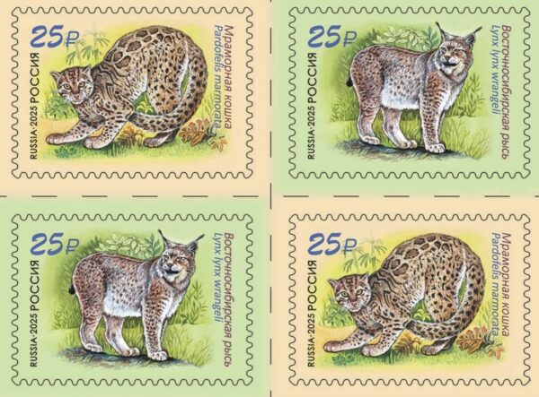 Russia 2025 Fauna Wild cats Join issue with Laos 2 sets in block 2x2 MNH