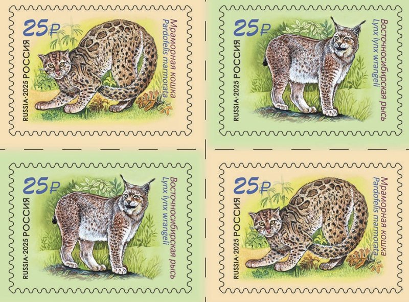 Russia 2025 Fauna Wild cats Join issue with Laos 2 sets in block 2x2 MNH - Image 1