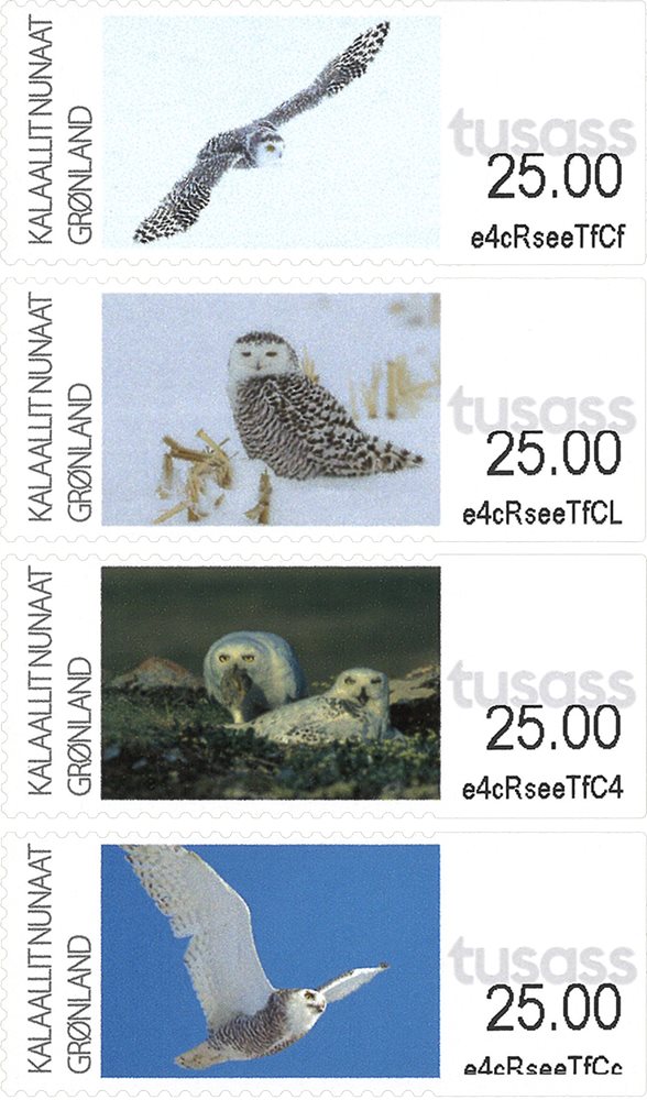 Greenland Denmark 2025 Birds Artcic owls Set of 4 stamps MNH