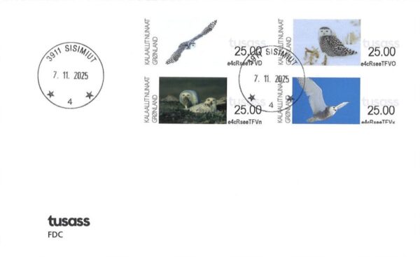 Greenland Denmark 2025 Birds Artcic owls Set of 4 stamps FDC