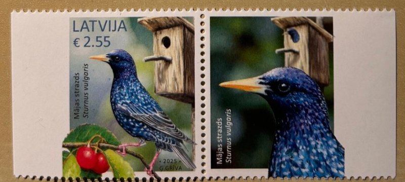 Latvia 2025 Bird common starling Limited edition stamp type II with label MNH - Image 1
